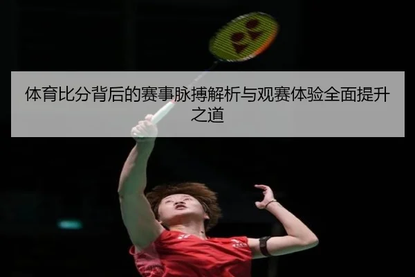 体育比分背后的赛事脉搏解析与观赛体验全面提升之道