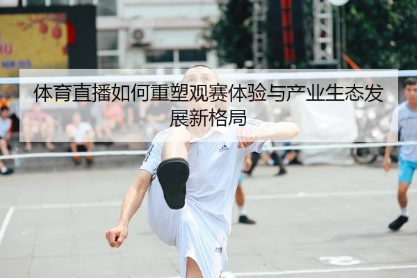 体育直播如何重塑观赛体验与产业生态发展新格局